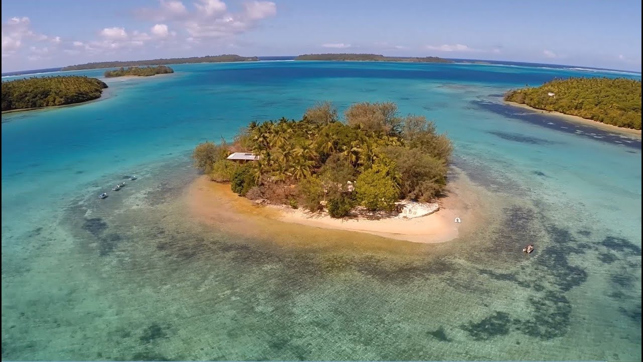 A Taste of Tonga