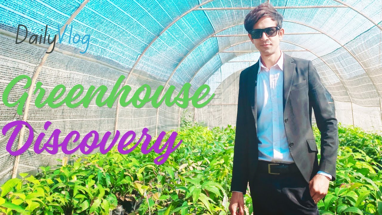 In Town and Country: Exploring Urban Landscapes and Greenhouse Sanctuaries