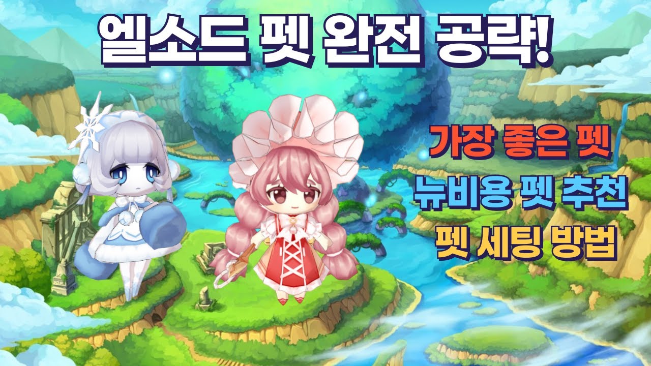 Complete Guide to Pets in Elsword!