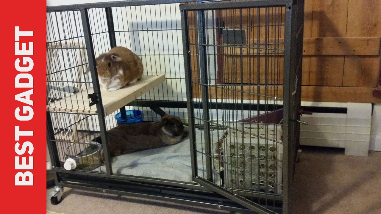 Best Rabbit Cages 2021 - Homey Pet 37 Review