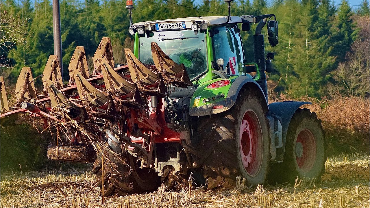 Semis de moisson 2024 eta Plougastel