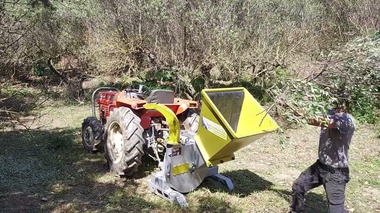 ΘΡΥΜΜΑΤΙΣΤΗΣ ΚΛΑΔΙΩΝ 