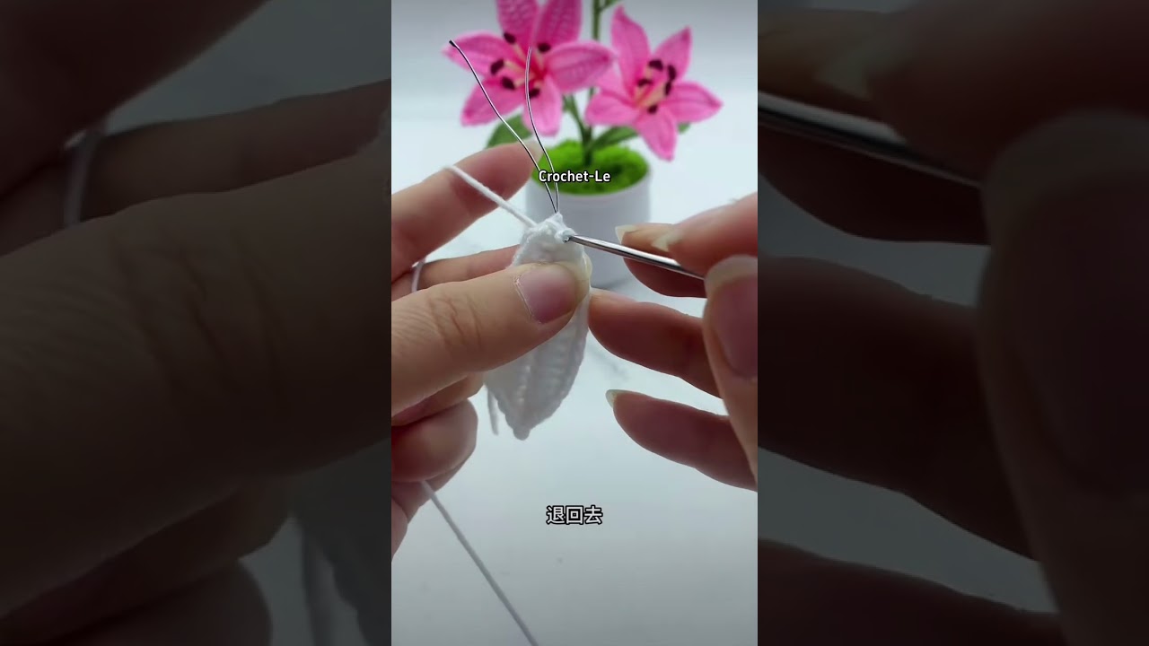 ￼请大家给个关注￼，毛线钩织百合花的全过程￼，全程免费观看，￼后期会有更多完整视频教学，有不会的可以私信给我，谢谢￼