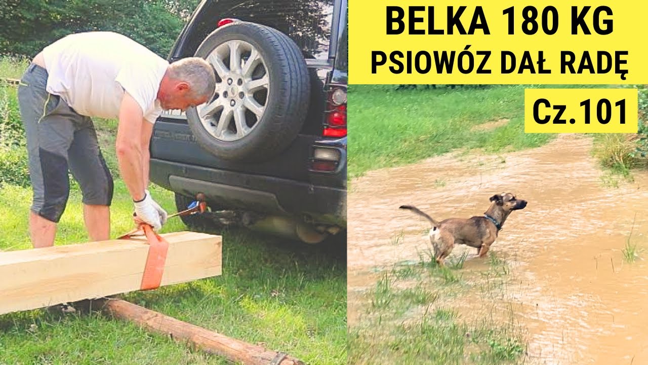 Remont starego domu z bali - przerwa na burze i ulewy. Siedlisko Damdyla cz.101