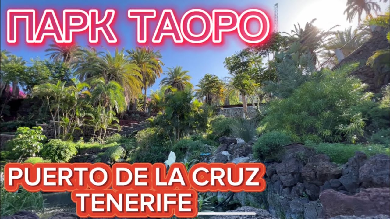 TENERIFE/ ЗАБРАЛСЯ В ПАРК TAORO В PUERTO DE LA CRUZ 8.12.2023