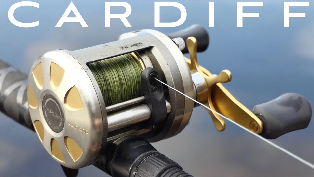 Круглая катушка для рабочего человека: обзор Shimano Cardiff. Более 14 лет побед над гигантами!