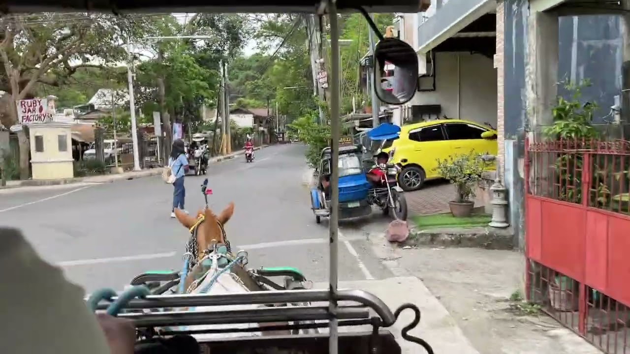 Vigan history