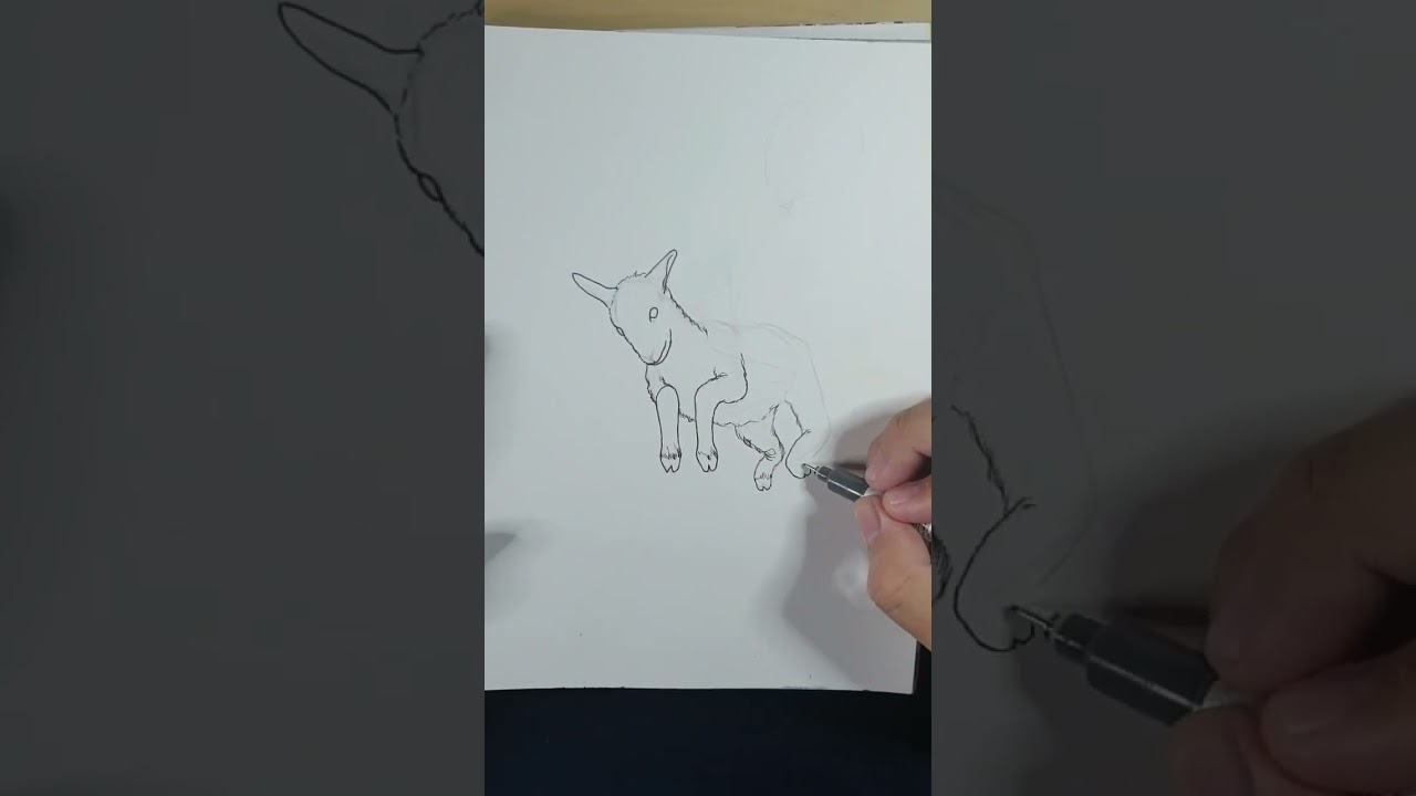 Goat!!! #goat #art #chill #animals #viral
