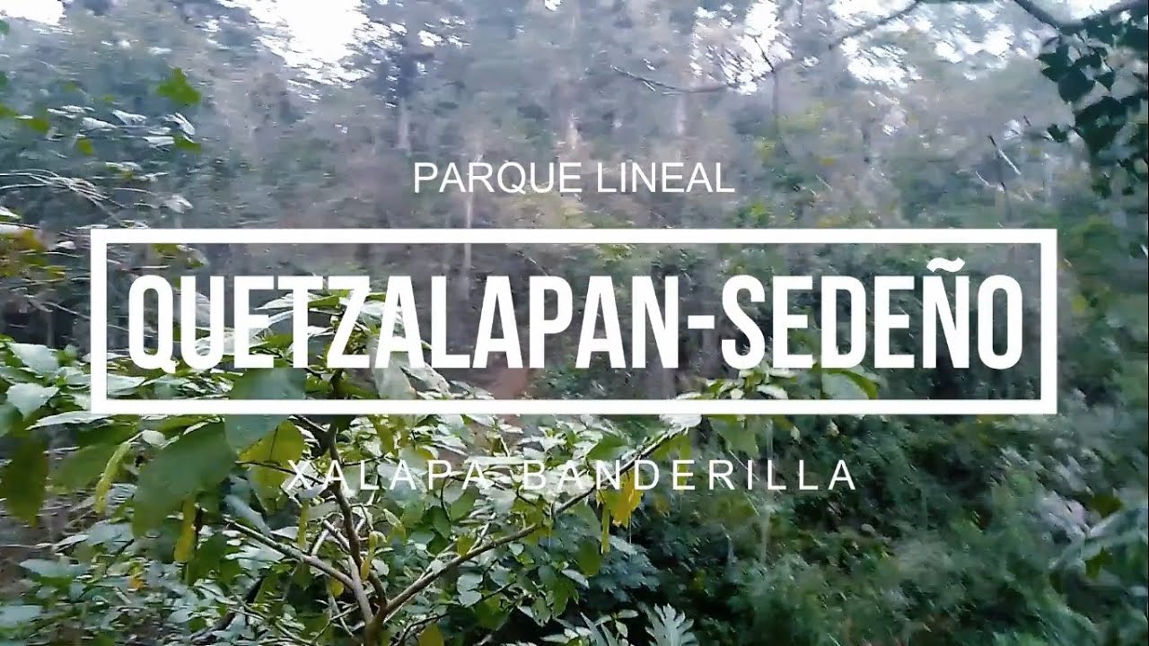 Parque Lineal Quetzalapan - Sedeño