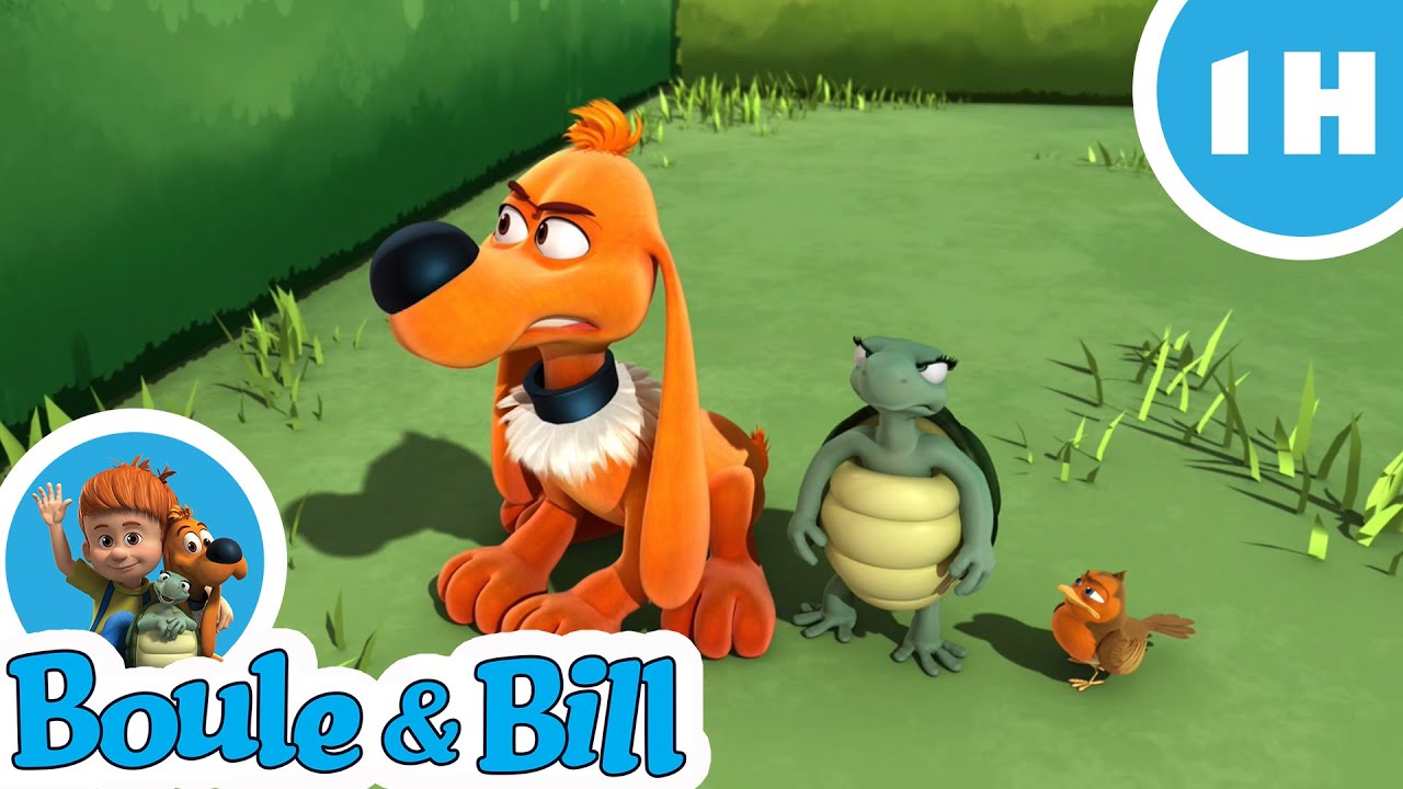 🐦Boule et Bill s'occupent des oiseaux 😍- Nouvelle compilation Boule et Bill FR