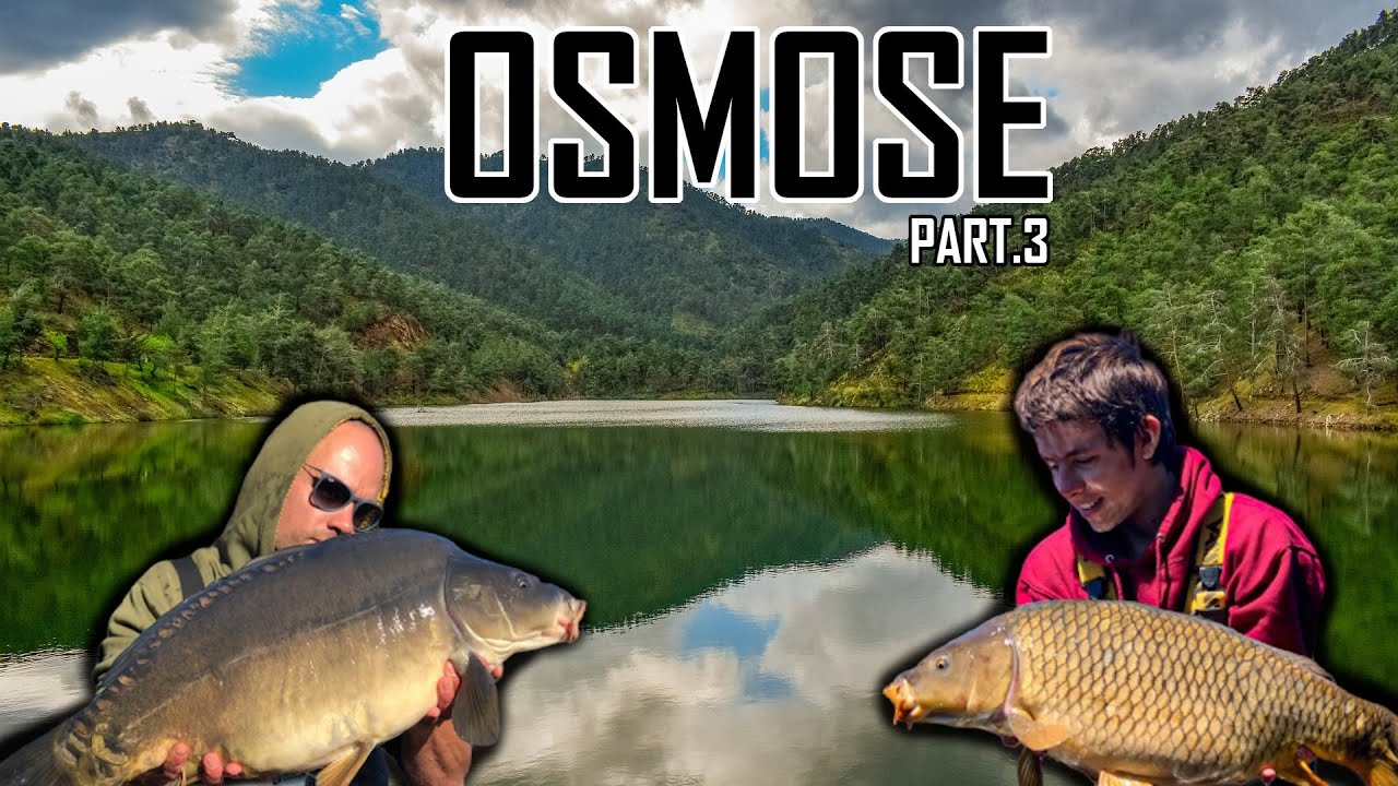 OSMOSE - Pêche en Lac de barrage - Pêche à la carpe