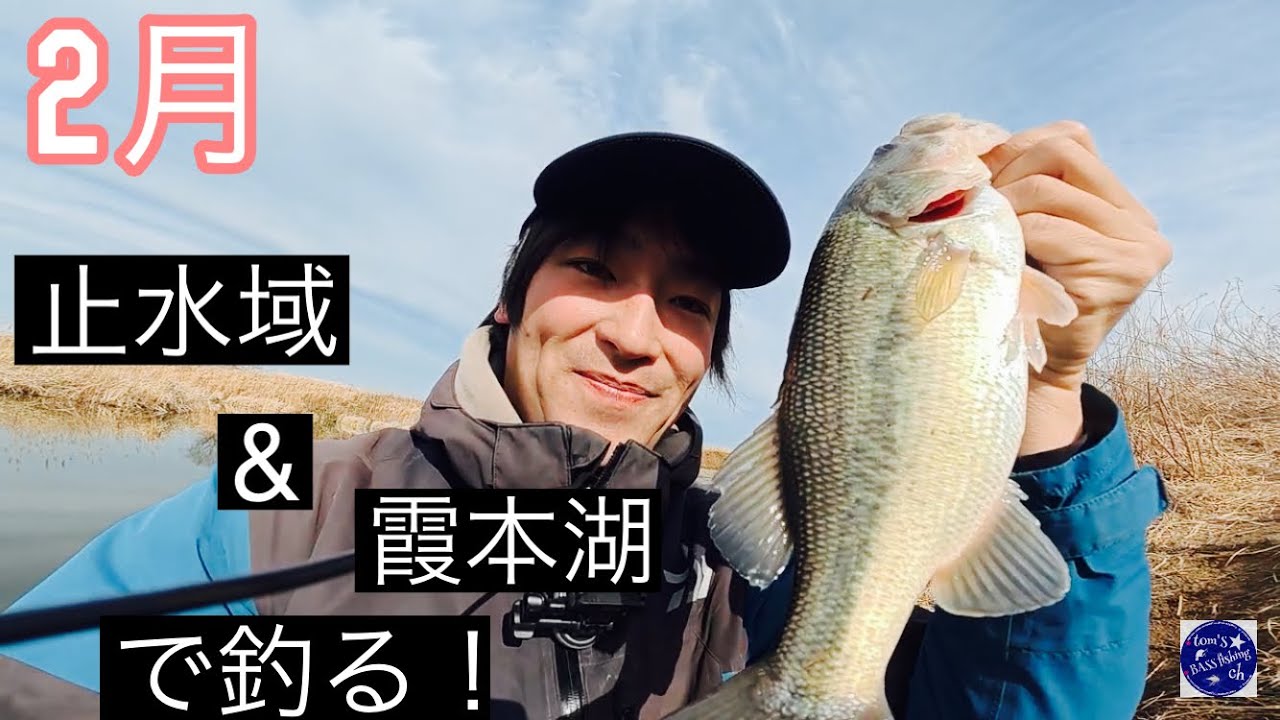 2026年初バス遂に！！2月の止水域と霞本湖で釣る！