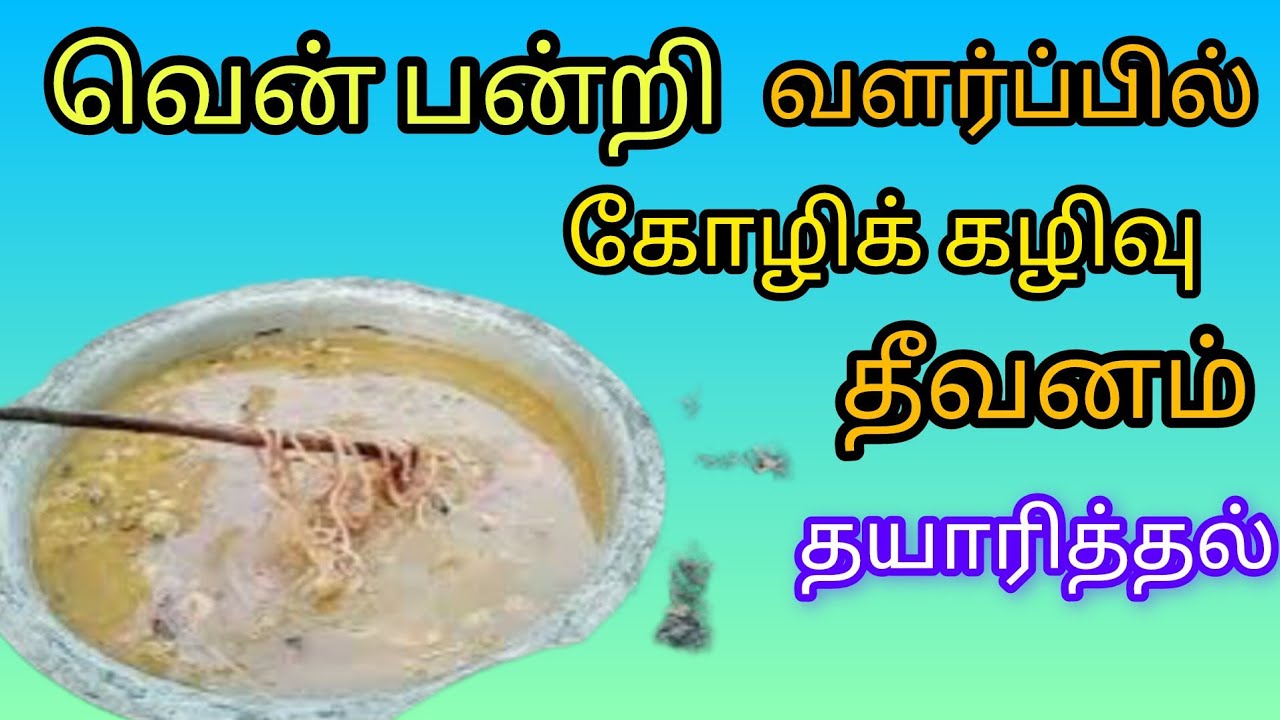 வெள்ளை பன்றி தீவனம் மேலாண்மை|| கோழி கழிவு சாப்பாடு##veera pig farm###suscribe