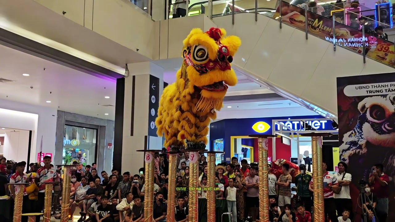 Múa Lân Nhảy Mai Hoa Thung Skill Cực Đỉnh NTN / Đánh Trống Múa Lân Việt Nam / Lion Dance Barongsai