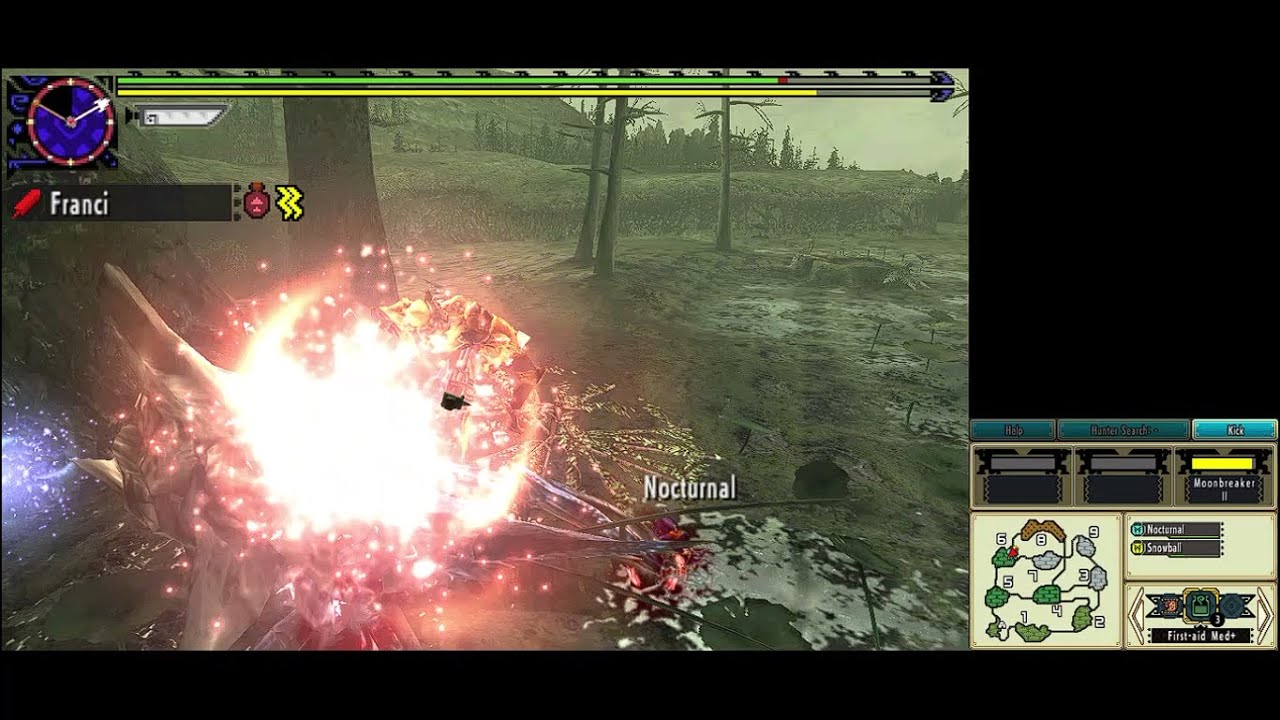 Monster Hunter XX - Look at that persistence