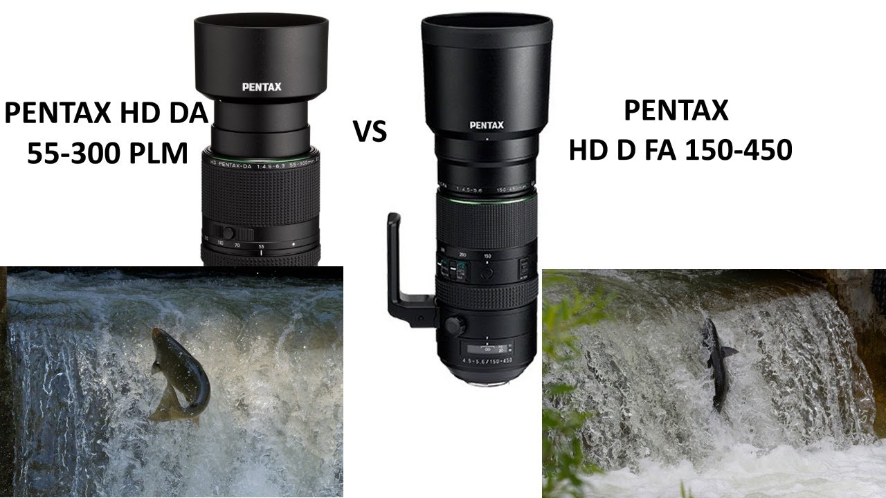 Pentax HD DA 55-300 PLM или D FA 150-450. Съёмка рыбохода.