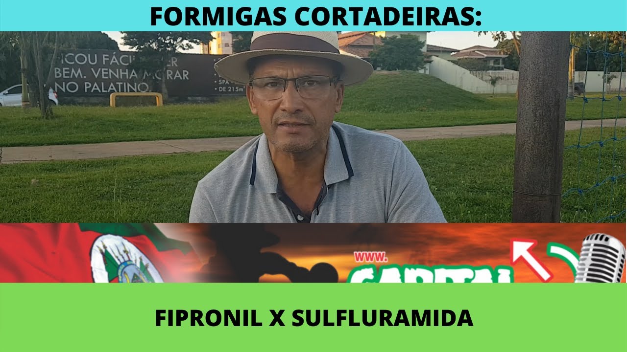 Moisés Pedreira - Fipronil x Sulfluramida