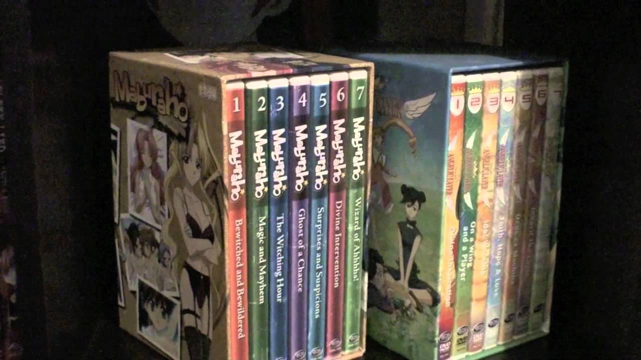 ANIME DVD COLLECTION $16,000 UPDATE