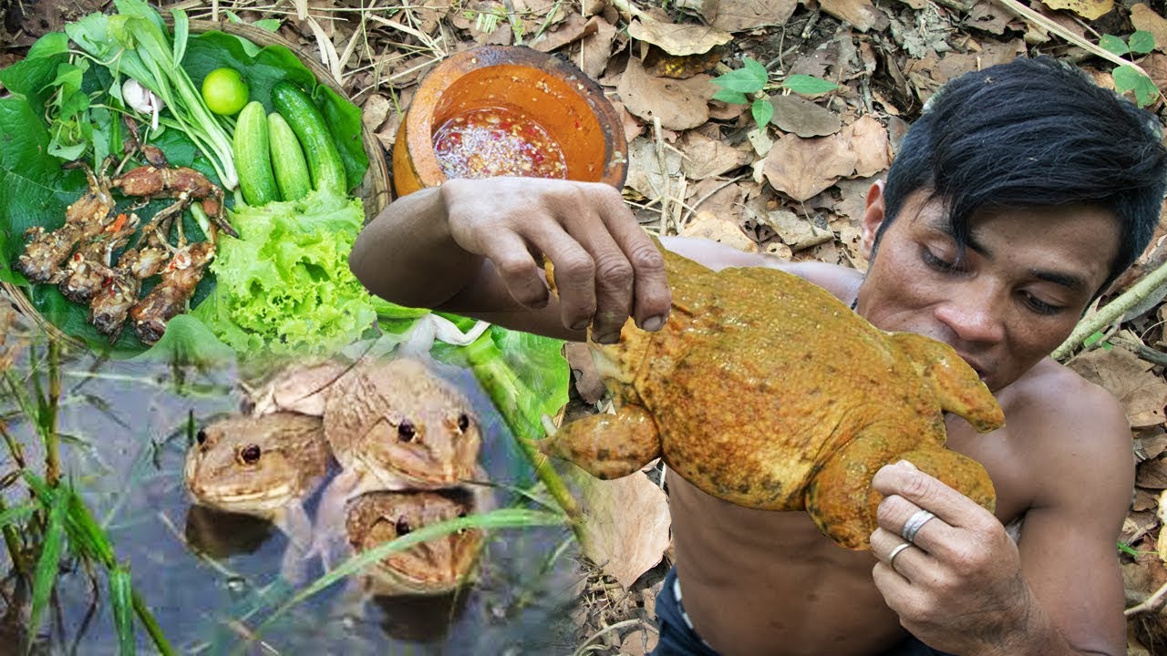 Primitive Technology | Cook Frog on a Rock for Dinner | Eating delicious