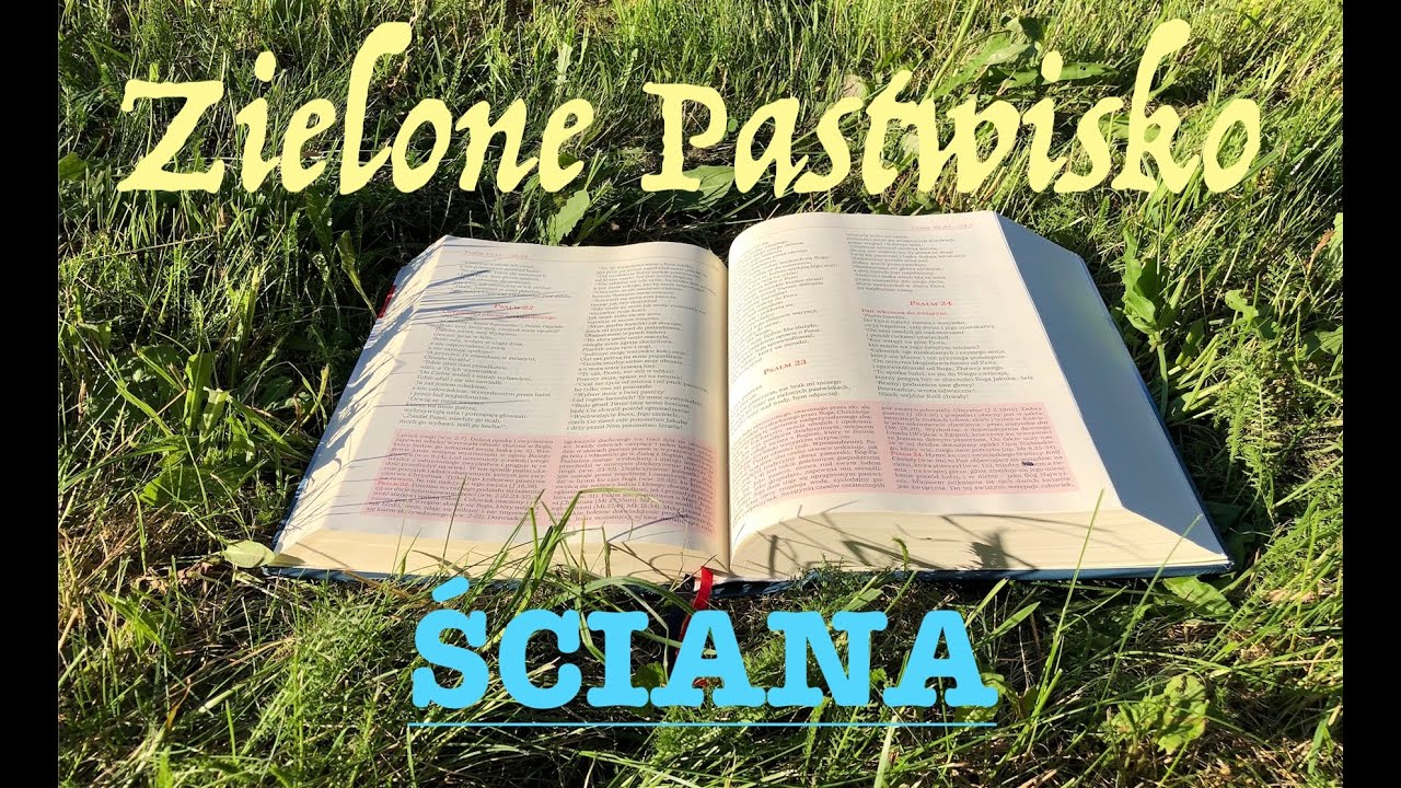 Zielone Pastwisko 4.02.2026 „ŚCIANA” - 2 Sm 24, 2. 9-17; Mk 6, 1-6 - o. Piotr Kleszcz OFMConv.