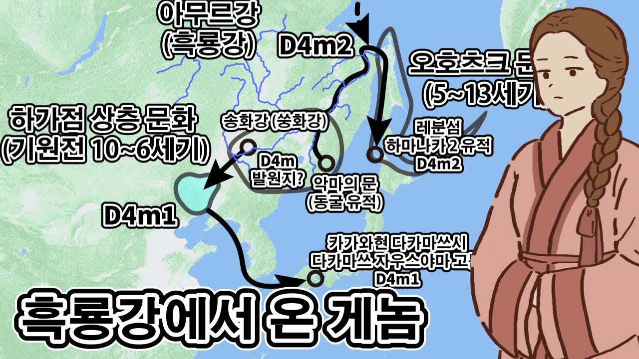 한반도를 거쳐 일본으로? 🇰🇷 남과 북에서 일본 열도를 포위한 고대 유전자 'D4m'의 비밀 [고분시대/오호츠크]