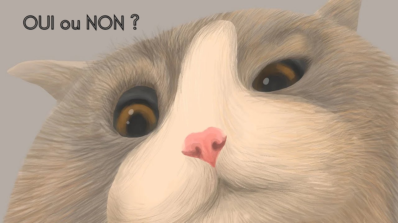 Une réponse en OUI ou NON 🌼 Tirage à 3 choix 🌼