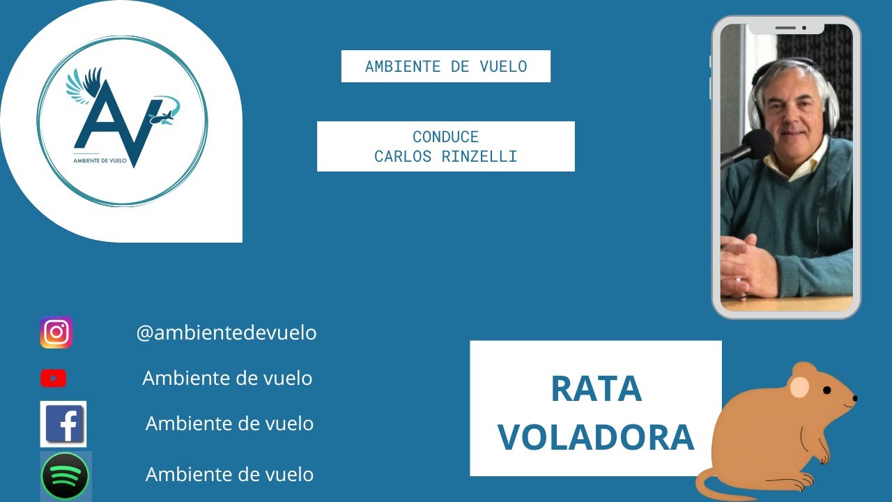 Rata voladora