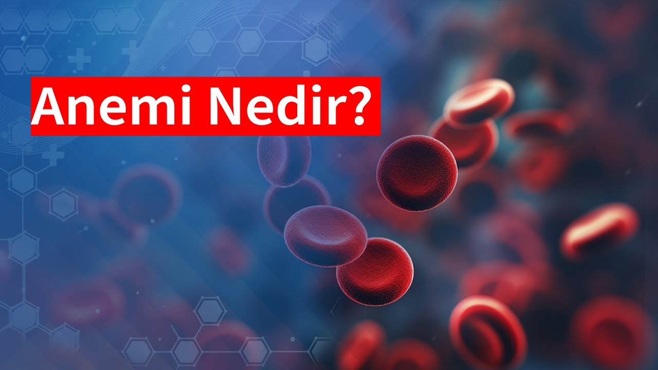 Anemi Nedir? | Medical Park