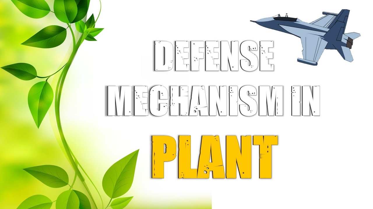 Defense mechanism in Plants | Plant Pathology Lecture Series