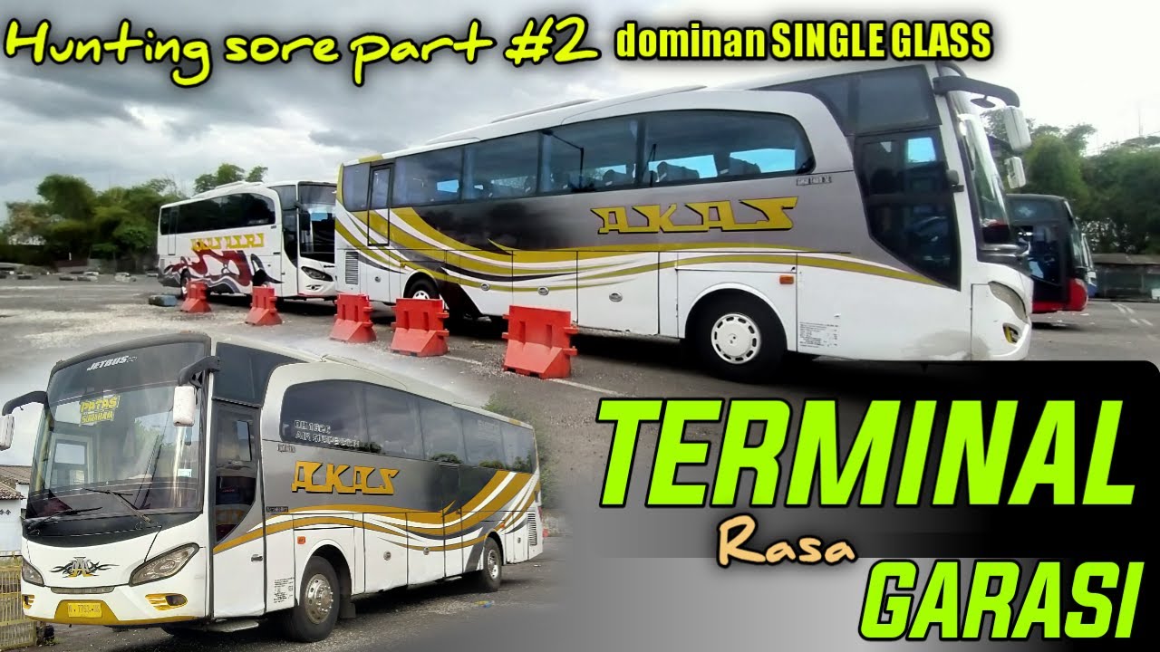 HUNTING SORE Part#2//Dominan SINGLE GLASS//terminal tawang alun