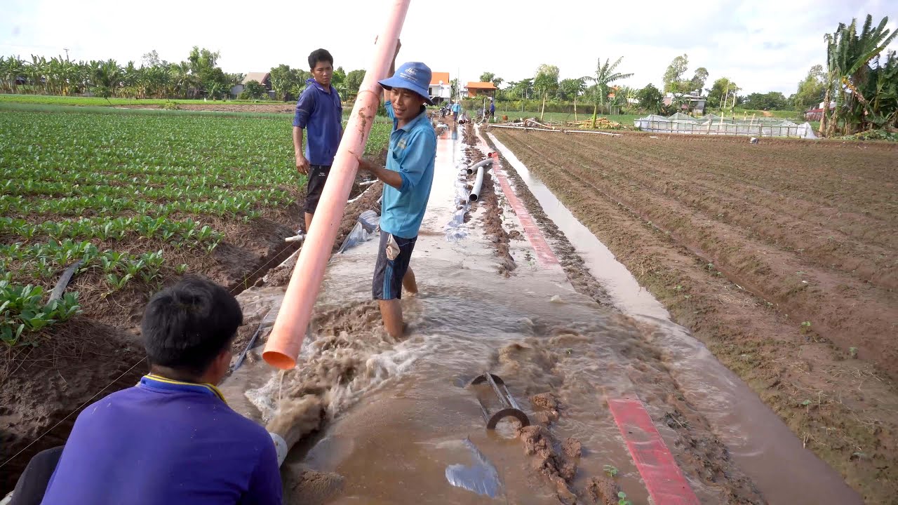 Bơm Cát làm 800 mét Đường Nông Thôn, Cám Ơn Tấm Lòng Vàng Các MTQ