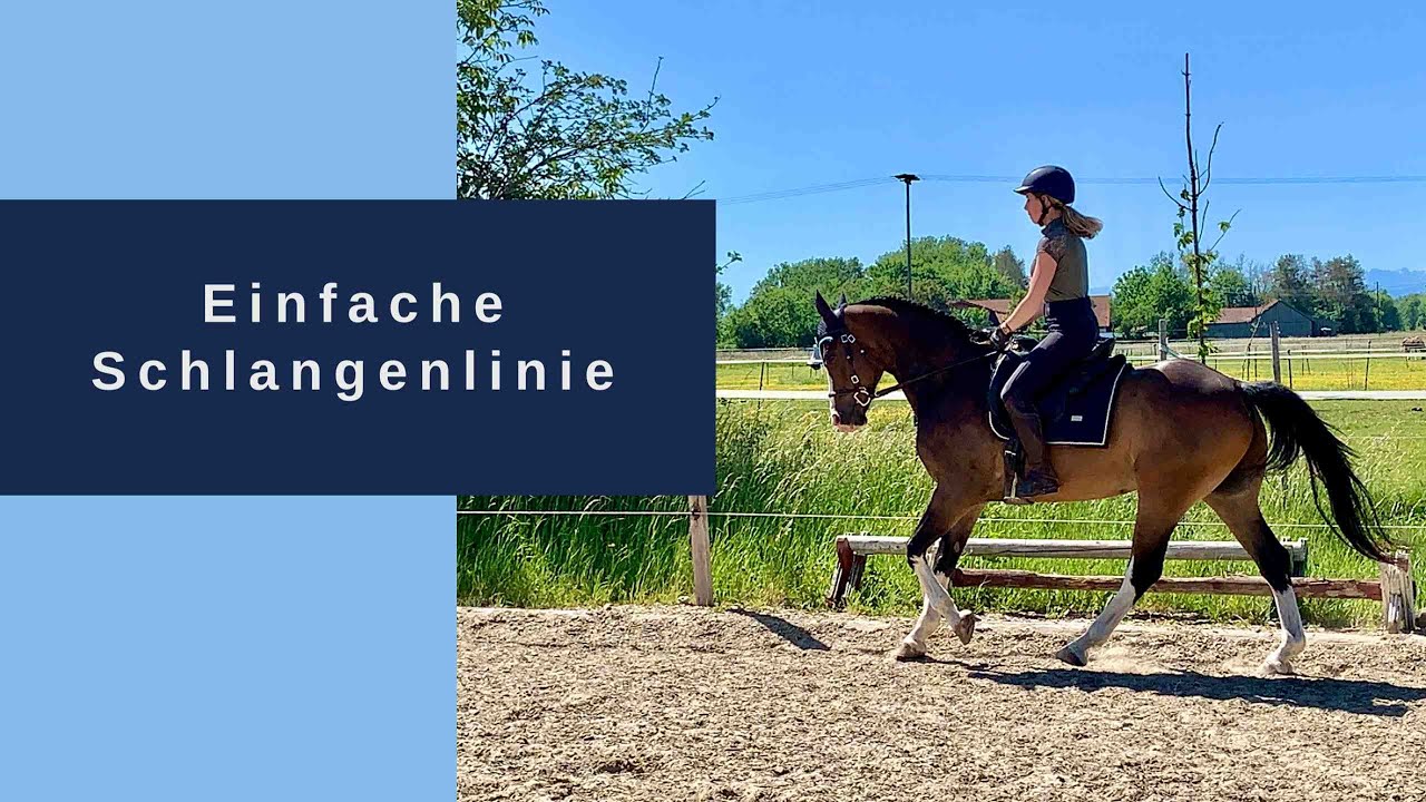 Einfache Schlangenlinie an der langen Seite