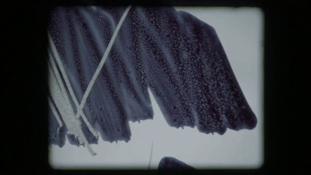 Joep Beving - Zoetrope (Official Video)