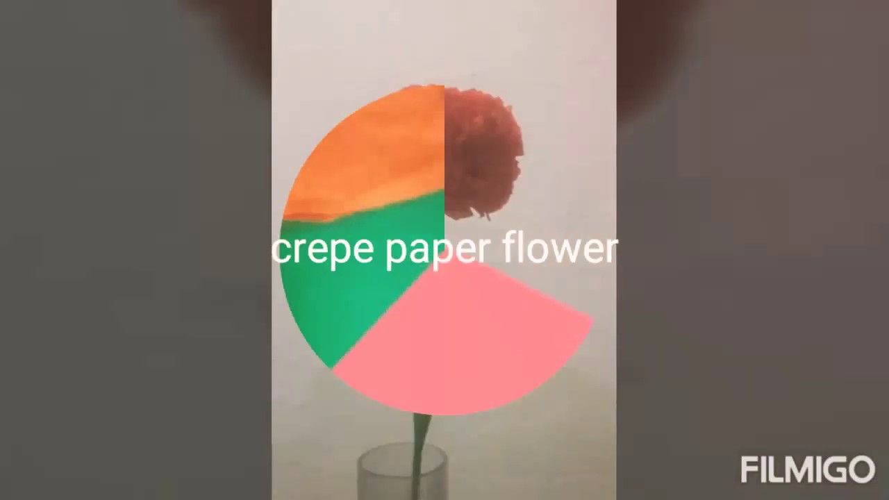 Crepe paper flower /pompom flower