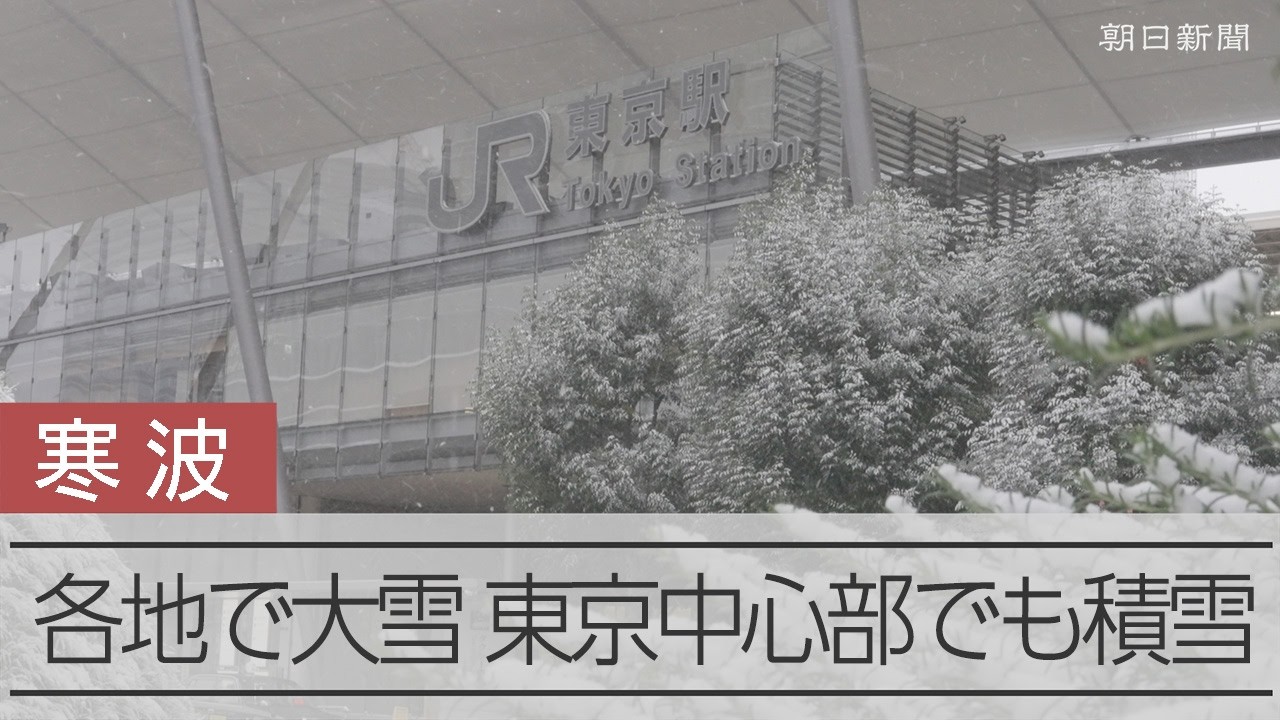 東京23区内でも積雪　雪の中投票に向かう人たち