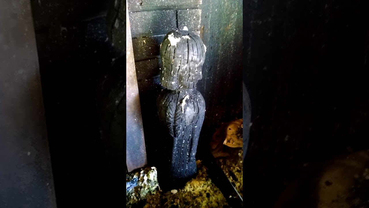 House fire aftermath