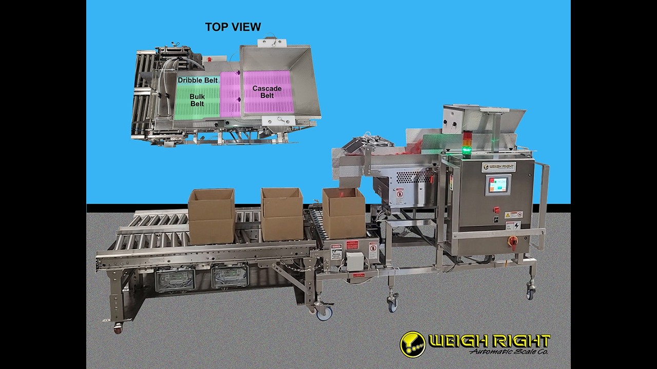Weigh Right: G-50-BDC-HCU, Direct Fill Scale, Belt Feed Design with U style roller conveyor