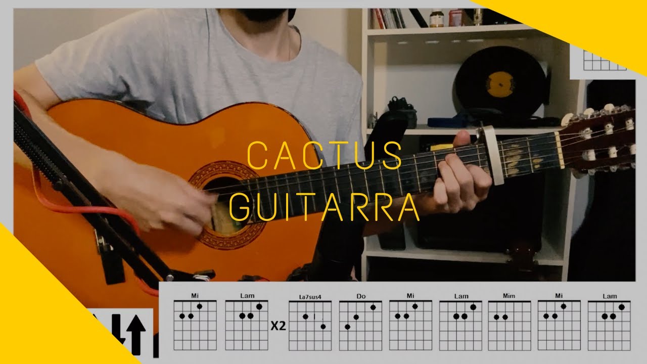GUITARRA | Cactus - Nasa Histoires ( cover/tutorial) Martin Lopez