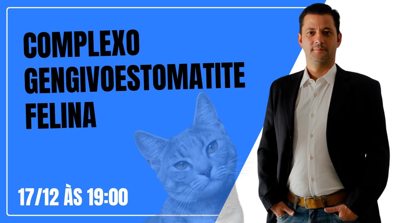 Complexo Gengivoestomatite Felina
