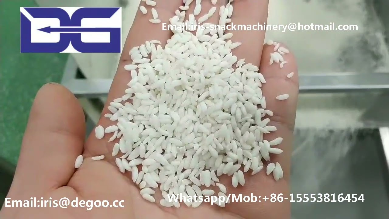 Jinan DG FRK Fortified Rice Kernel Extruder Machine/FRK Premix Rice Production Line China
