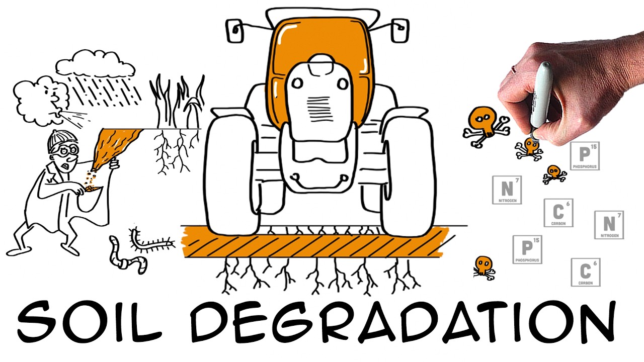 Can We Save Our Food by Saving the Soil? | Soil Degradation Explained