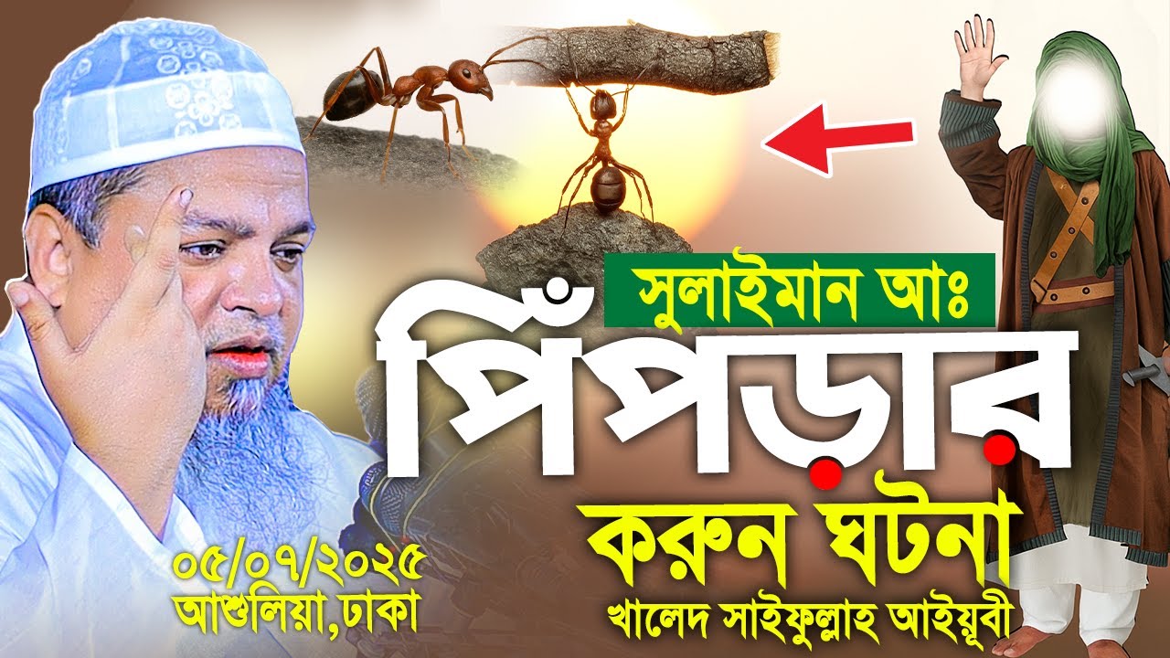 সুলাইমান আঃ ও পিঁপড়ার করুন ঘটনা। Khaled Saifullah Ayubi 2025। খালেদ সাইফুল্লাহ আইয়ুবী নতুন ওয়াজ