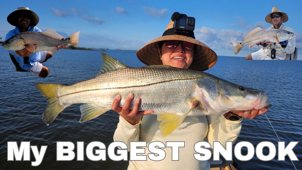 My BIGGEST SNOOK Catch in Yankeetown, Florida