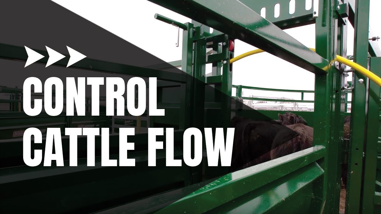 Rolling Cattle Alley Gate | Cattle Handling Equipment | Showcase