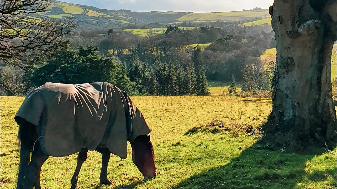 Discover Enniskerry, County Wicklow, Ireland Travel 2022 ☘️🇮🇪