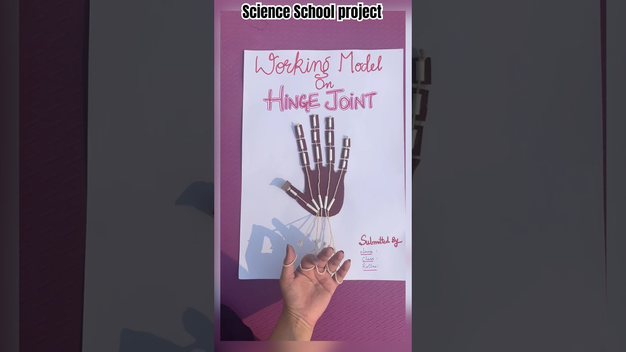 Working Model on HINGE JOINT/ Science school project/ Project based learning for school kids/ Joints