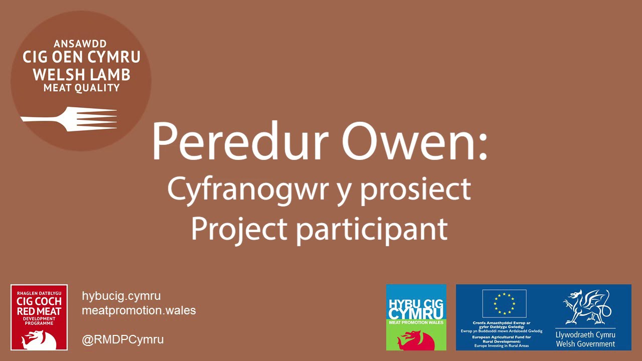 Meet a Welsh Lamb Meat Quality participant