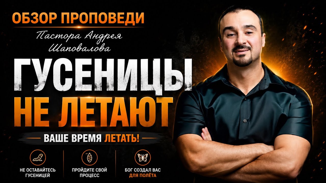 &laquo;Гусеницы на летают&raquo; [Обзор проповеди] Пастора Андрея Шаповалова