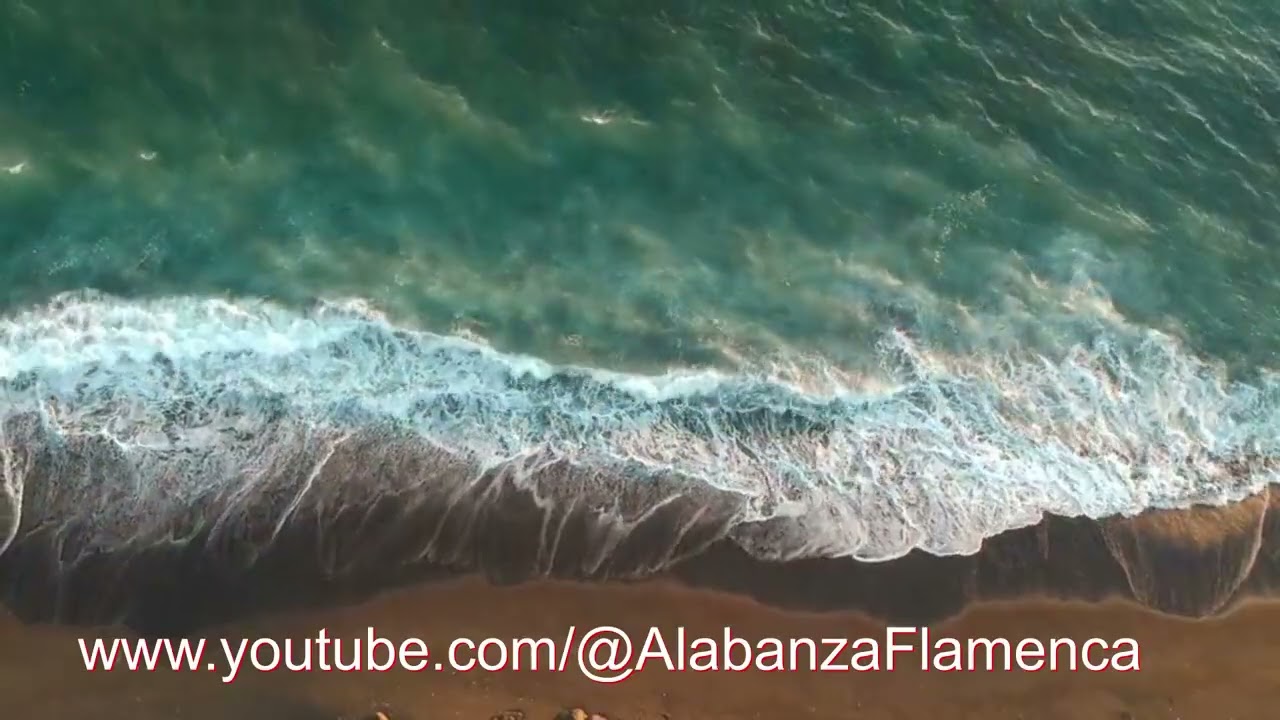 aleluya