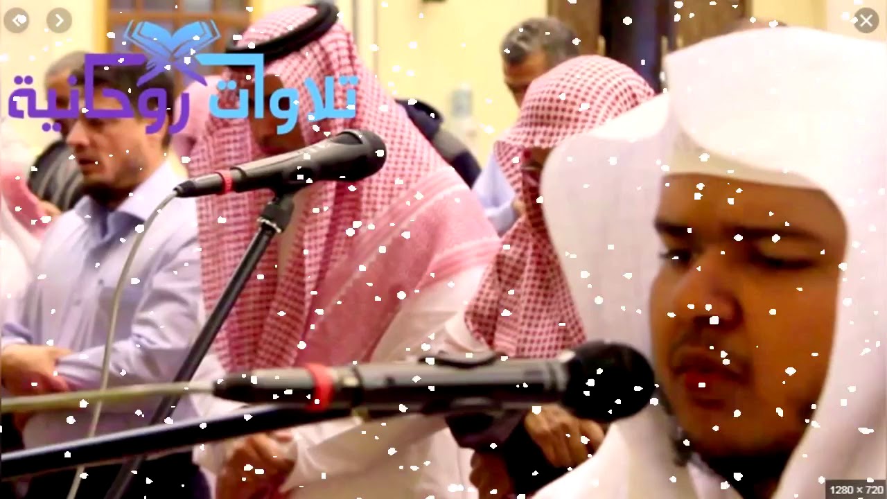 تلاوة خيالية حجازية للقارئ صالح الانصاري